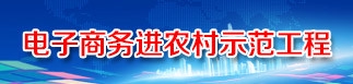 電子商務進農村綜合示范工作